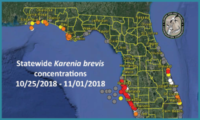 Current Red Tide Map Florida Red Tide Data Resources for Florida   SECOORA