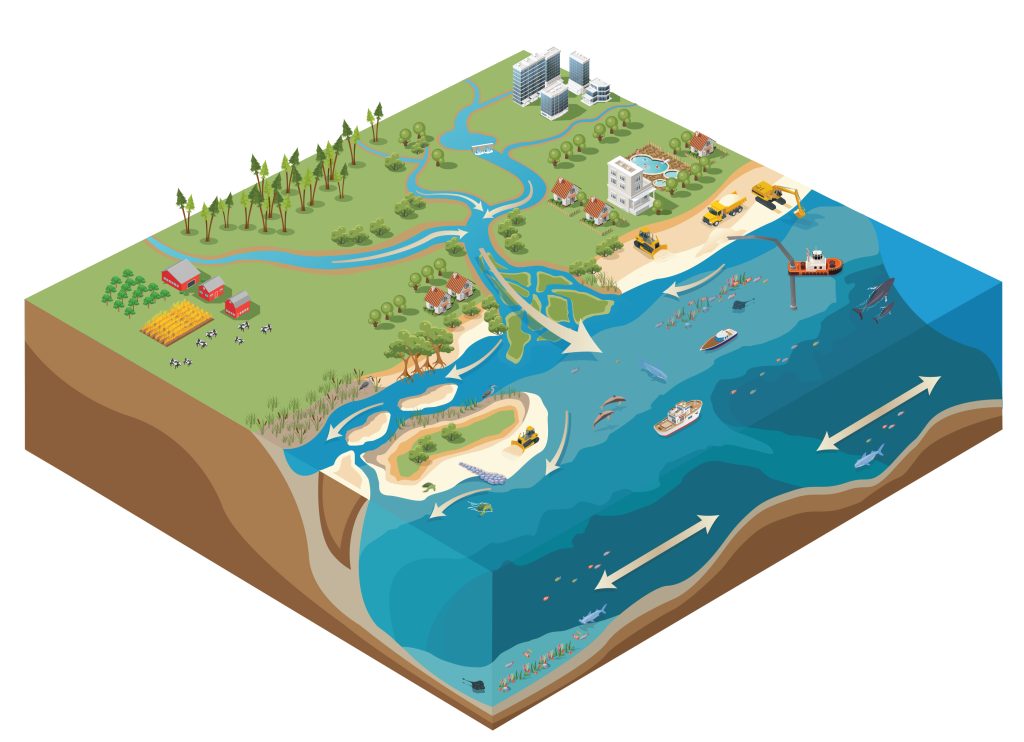 Sand Management SECOORA