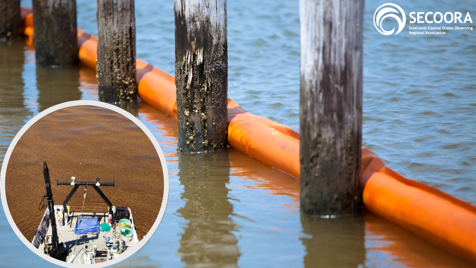 An image of a debris boom in the ocean next to a dock. In the lower left corner there is an image of a boat surrounded by seaweed.
