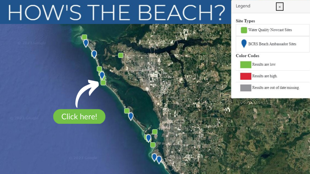 "How's The Beach" is in all caps and white at the top of the image. A zoomed in satellite image of the west coast of Florida with both blue and green dots. There is a white arrow with the text "click here" below it, pointing at one of the green dots.