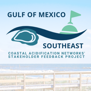 Background image of a wooden boardwalk over tan sand dunes with blue ocean. The words Gulf of Mexico Southheast in bold with a Coastal Acidification Network Stakeholder Feedback Project below