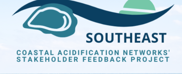 Background image of a wooden boardwalk over tan sand dunes with blue ocean. The words Gulf of Mexico Southheast in bold with a Coastal Acidification Network Stakeholder Feedback Project below