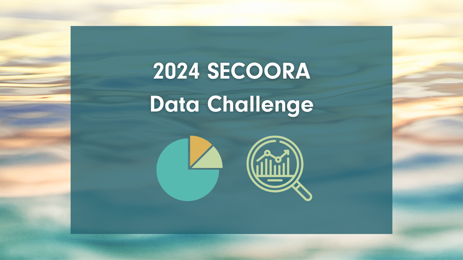 Student Opportunity: 2024 Data Challenge - SECOORA